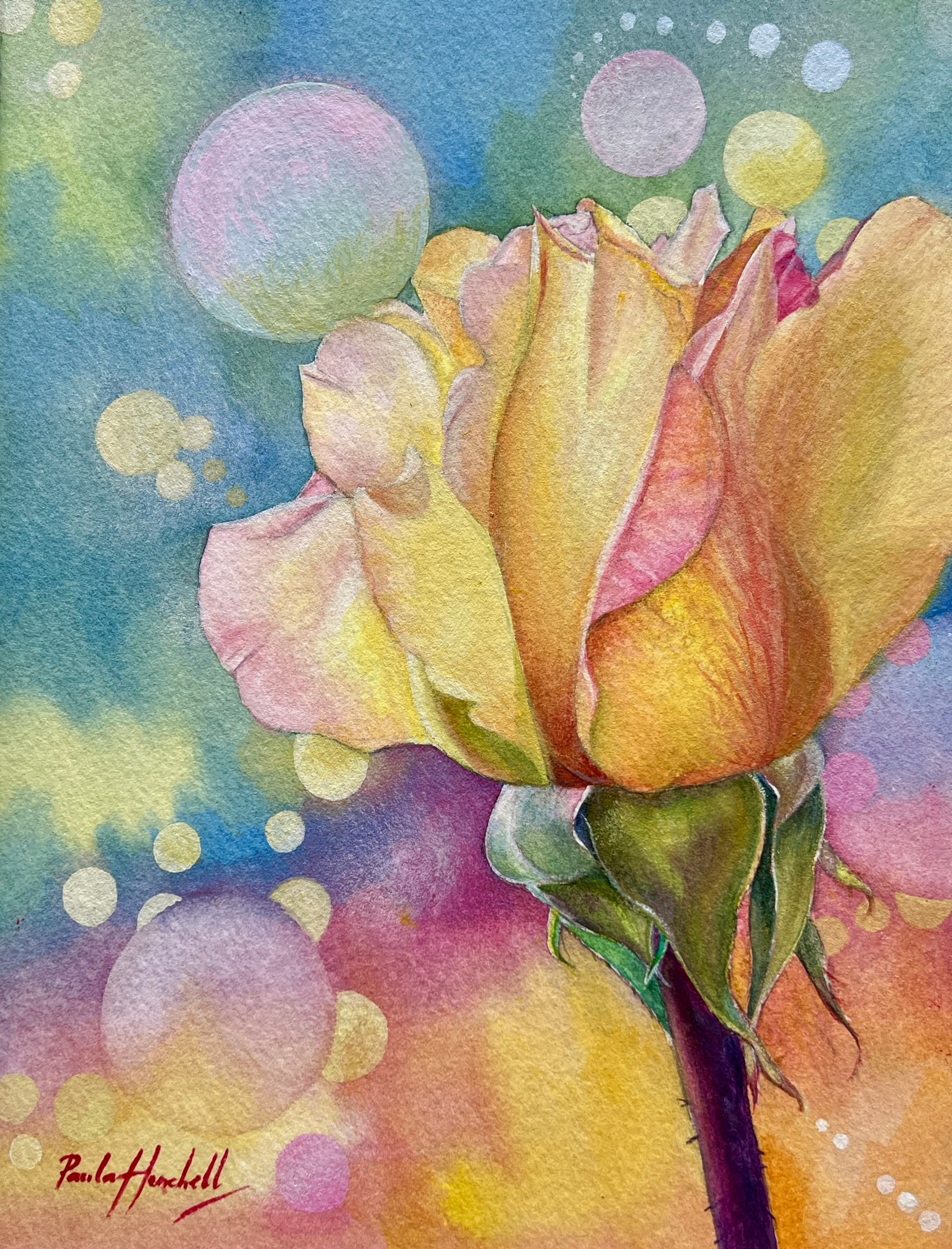 Songbird and Blossom