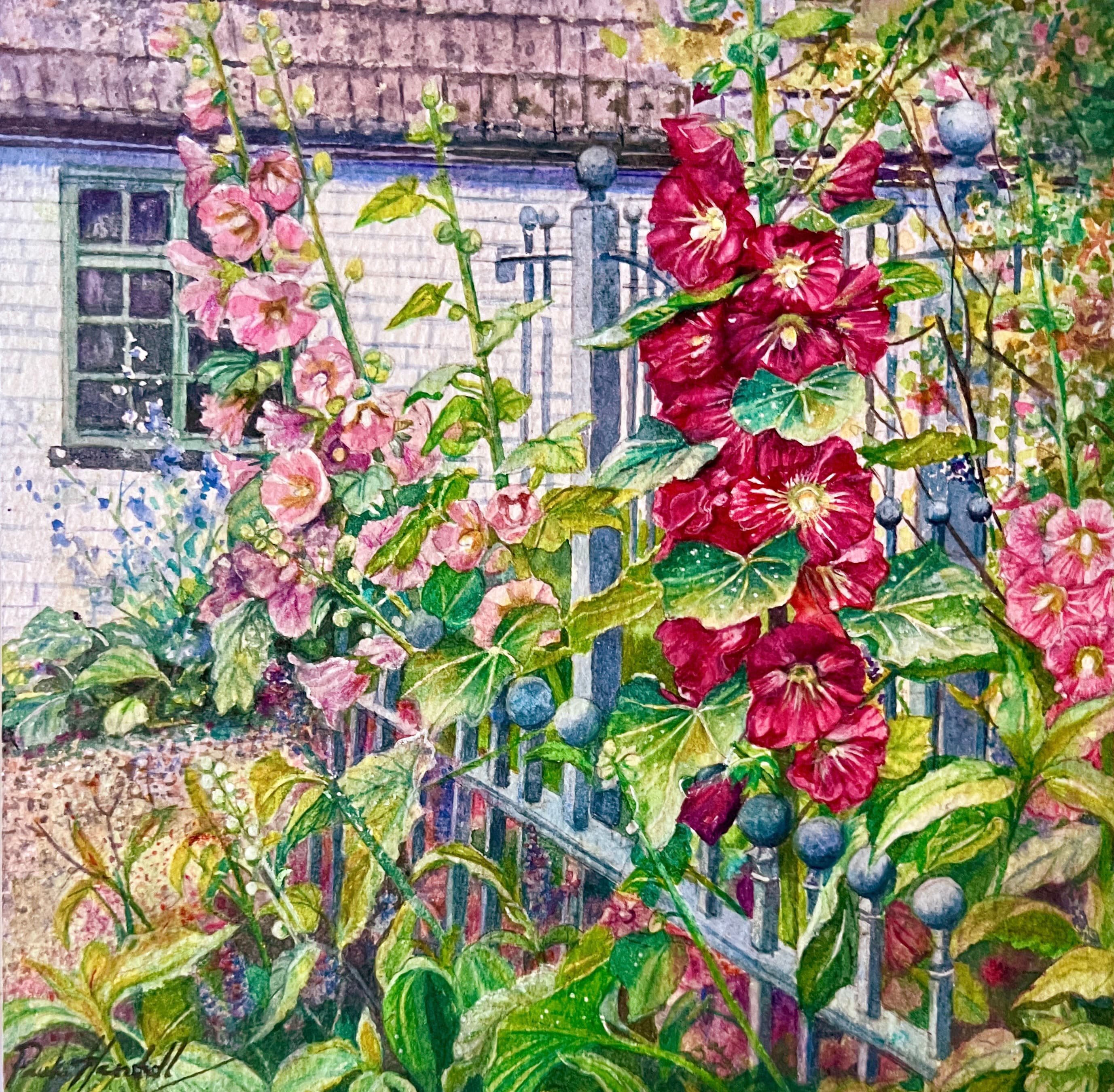 Mountain Morning Light