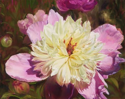 Cathy's Peony