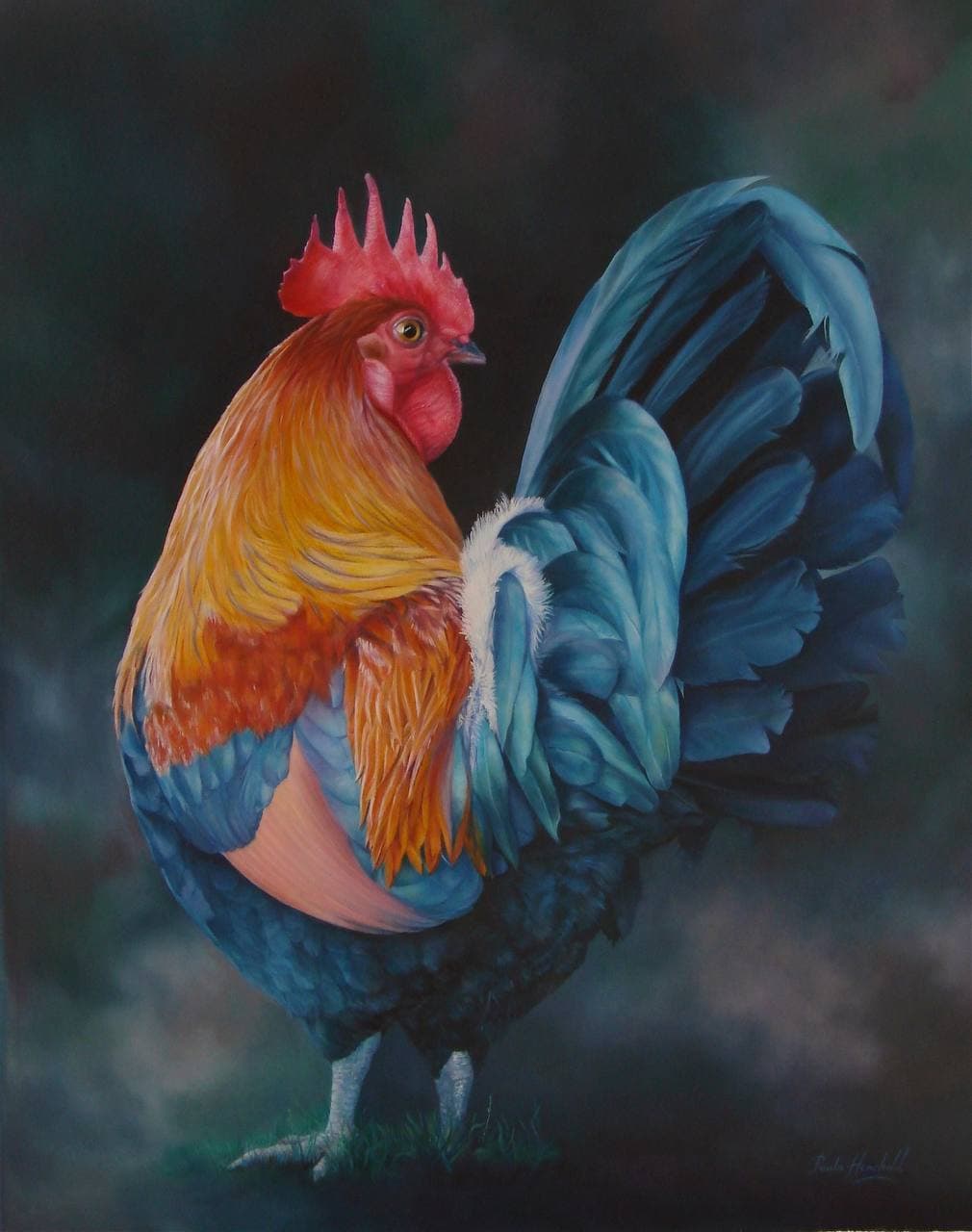 Colorful Rooster