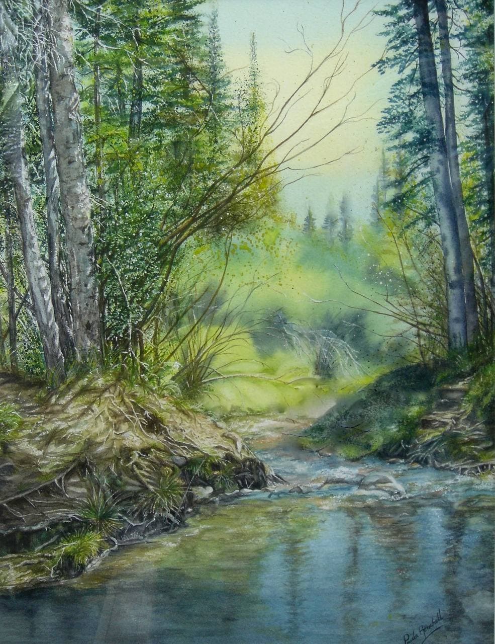 Forest Stream