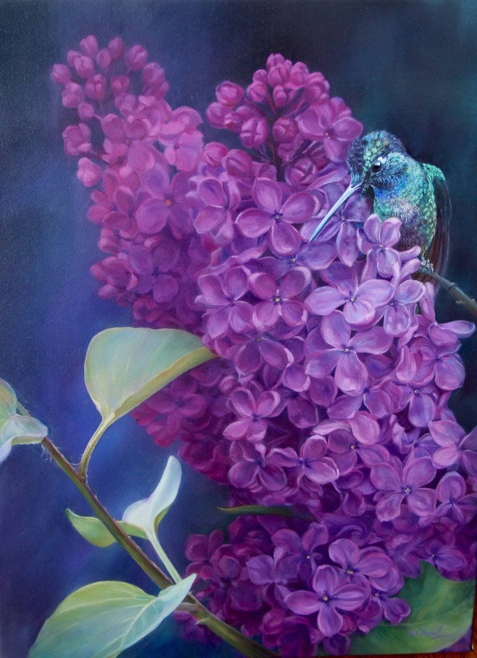 Hummingbird with Lilacs