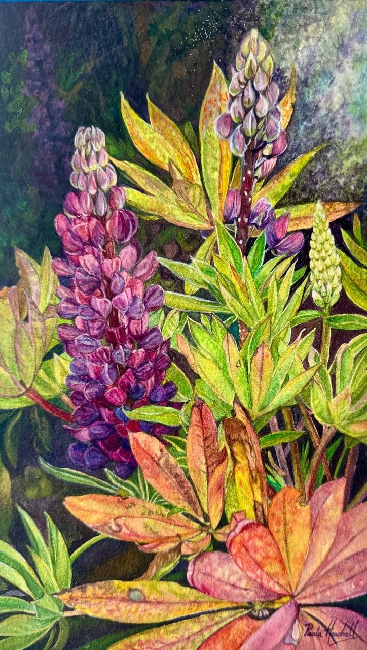 Lupines in Bloom