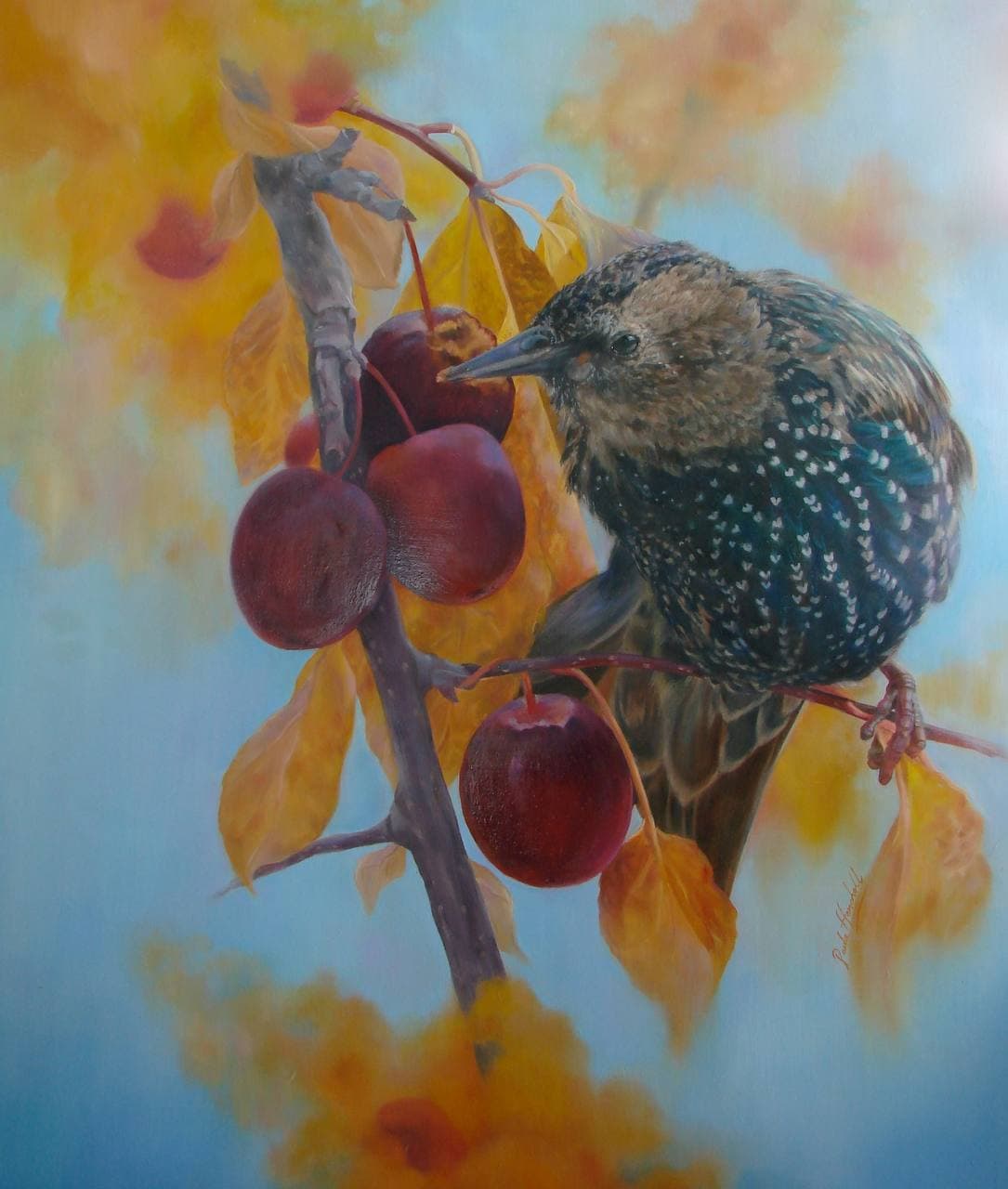 Starling with Autumn Berries