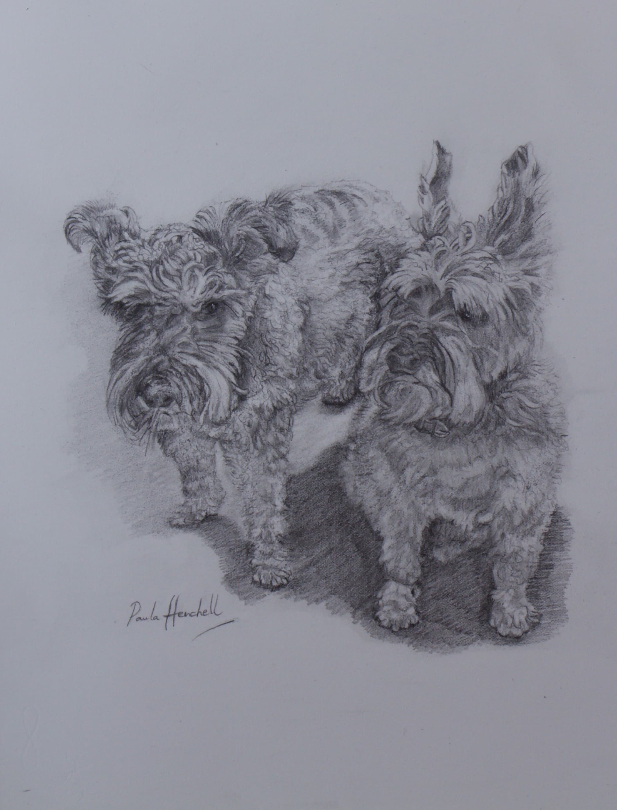 Wedding Dress Keepsake I